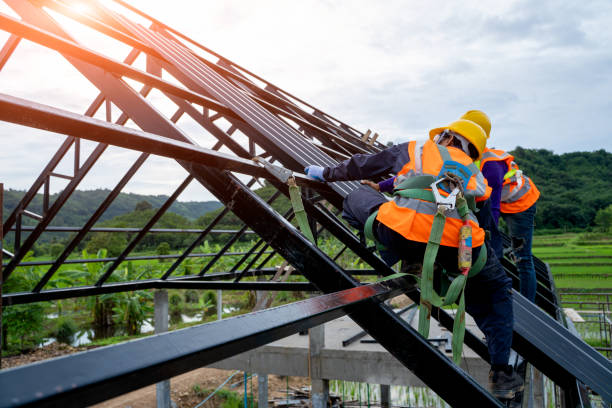 Best Gutter Installation and Roofing  in Newark, DE